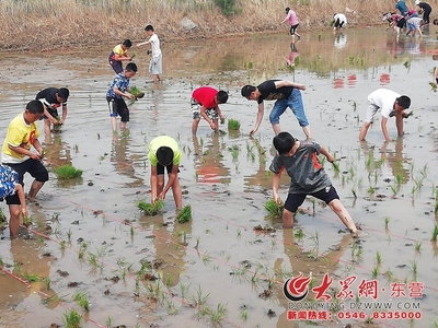 2018首屆中國黃河口大地文化藝術(shù)節(jié)插秧節(jié)盛大開幕，有機(jī)稻谷種植研發(fā)引領(lǐng)綠色農(nóng)業(yè)新篇章