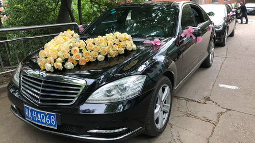 河南租車(chē)報(bào)價(jià)、廠家資源與二手車(chē)經(jīng)銷(xiāo)市場(chǎng)概覽